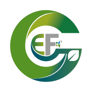 Grupo Empresarial FIS