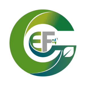 Grupo Empresarial FIS